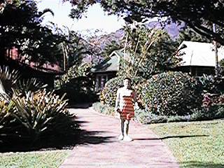 QV018M.jpg (27839 bytes)