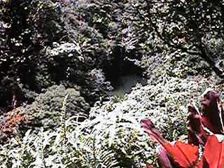 QV021M.jpg (32871 bytes)