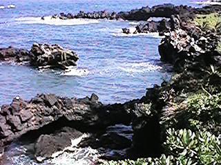 QV025M.jpg (26618 bytes)