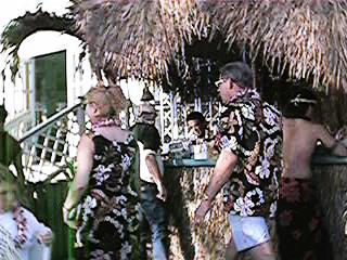 QV034M.jpg (26455 bytes)