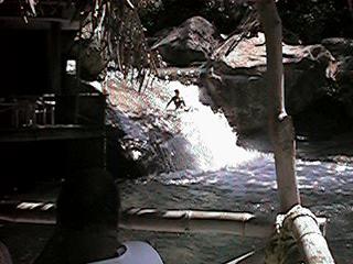 QV084.jpg (18315 bytes)