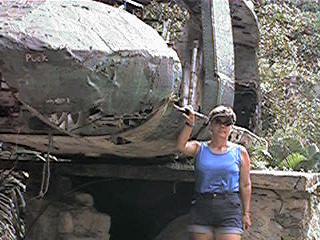 QV085.jpg (21859 bytes)