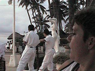 QV091.jpg (18178 bytes)